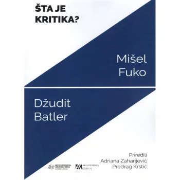 Šta je kritika? 
