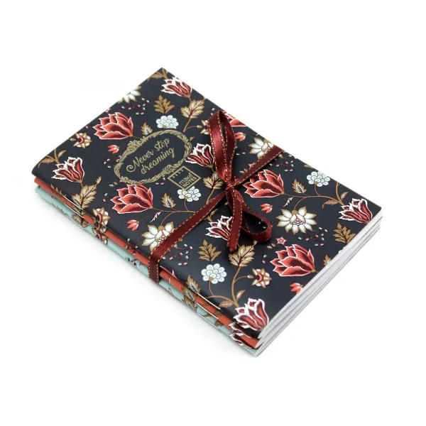 NOTES 3U1 MN CJ29 Č. 