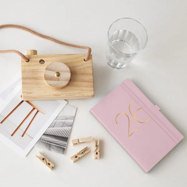 PLANER PASSPORT D/P CHESTER RIG PINK 26 31279 