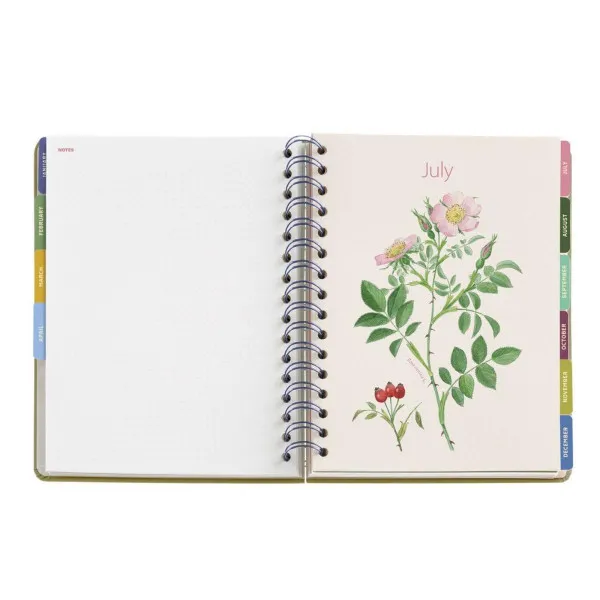 PLANER PLUS W-O D/P GARDEN ENTREDOS 26 34581 