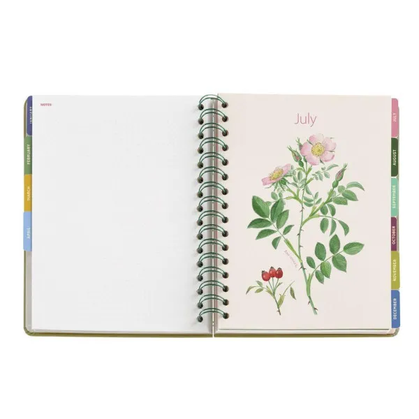 PLANER PLUS W-O W/V POPPY ENTREDOS 26 34578 