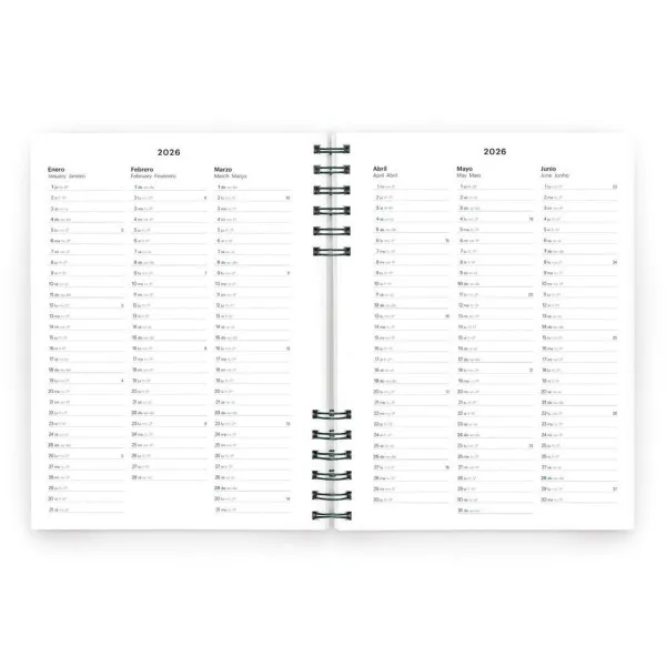 PLANER PLUS W-O W/V NAVY BASICS 26 34557 