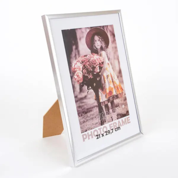 FOTO RAM SIMPLE 2 21*29,7 2 SILVER 