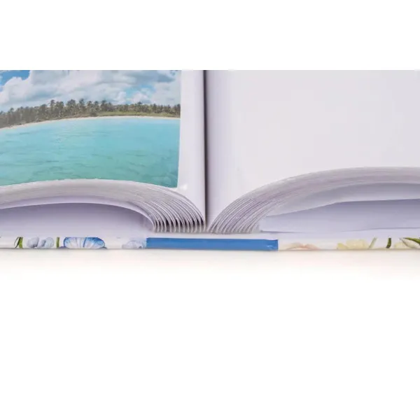 FOTO ALBUM B-46200 ABLOOM 1 10*15 