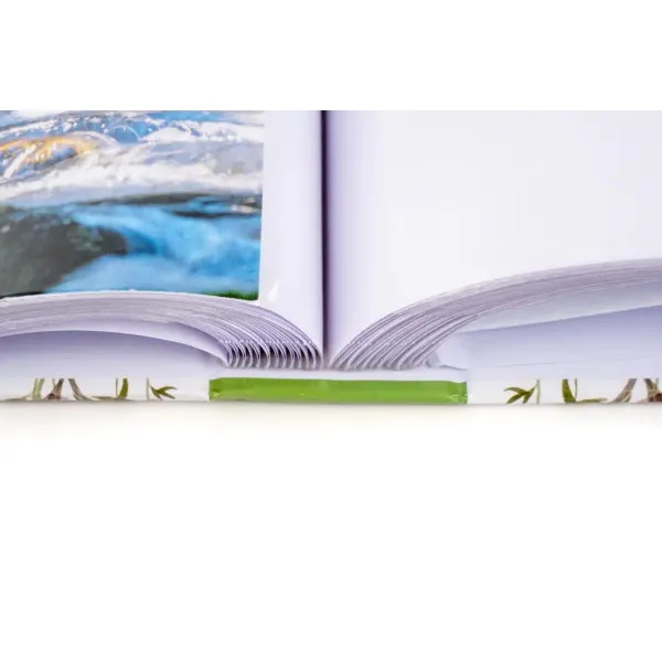 FOTO ALBUM B-46200 ABLOOM 2 10*15 