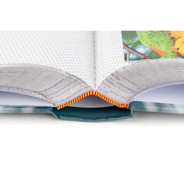 FOTO ALBUM B-46300/2S FLOW 1 10*15 