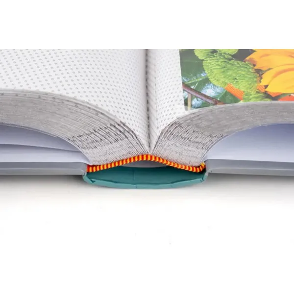 FOTO ALBUM B-46300/2S FLOW 2 10*15 