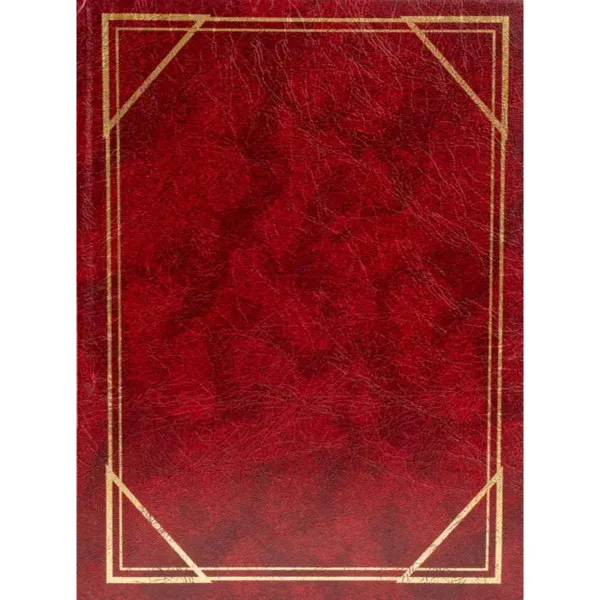 FOTO ALBUM B-46300/2S VINYL 1 BURG. 10*15 