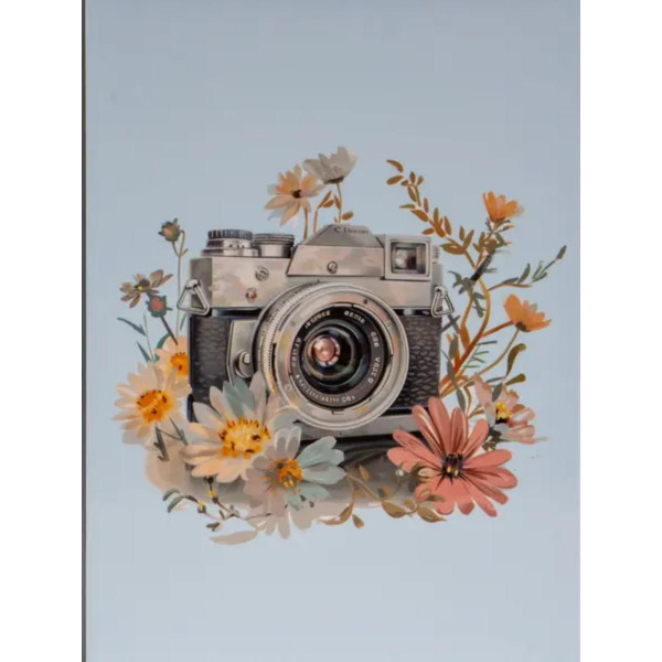 FOTO ALBUM DPH-4636 LENS 1 10*15 
