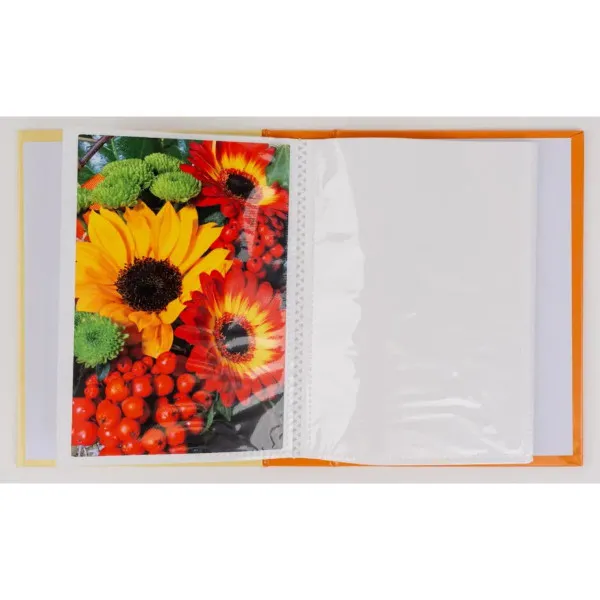 FOTO ALBUM  DPH-4636 LENS 2 10*15 