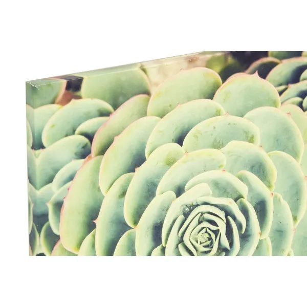 SLIKA 40X40X2 CACTUS 