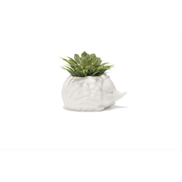 SAKSIJA PRINKLES THE HEDGEHOG 