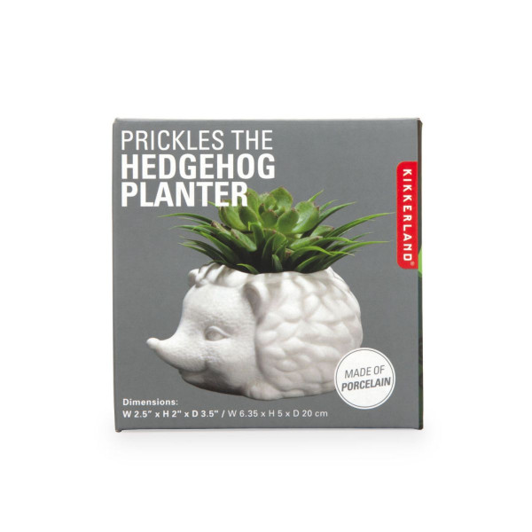 SAKSIJA PRINKLES THE HEDGEHOG 