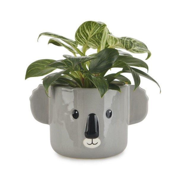 Saksija, Koala, gray, ceramic 