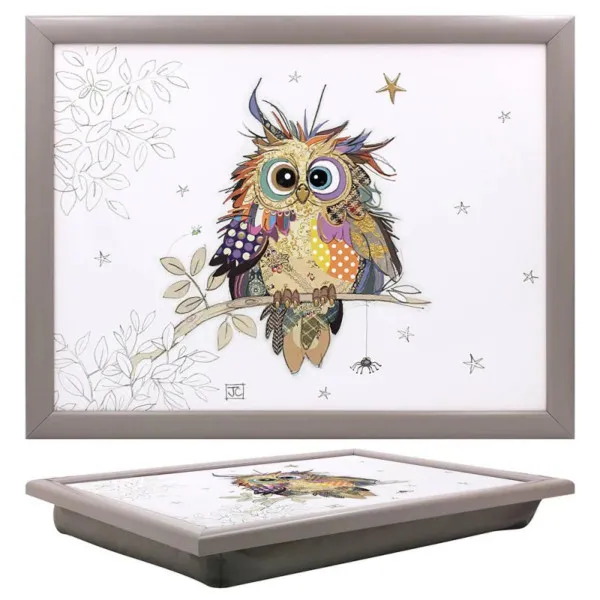DRŽAČ ZA LAPTOP OTTO OWL LP74075 