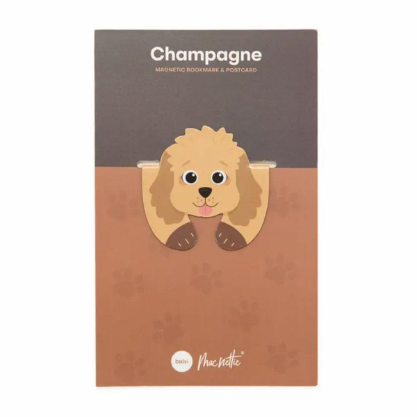OBILJEŽIVAČ STRANICA MACNETTIC CHAMPAGNE FLEXIBLE 