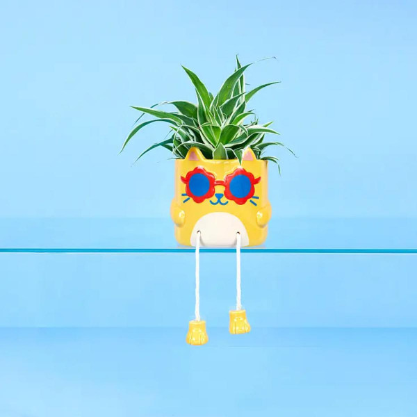 SAKSIJA COOL CAT YELLOW DIA.13CM 