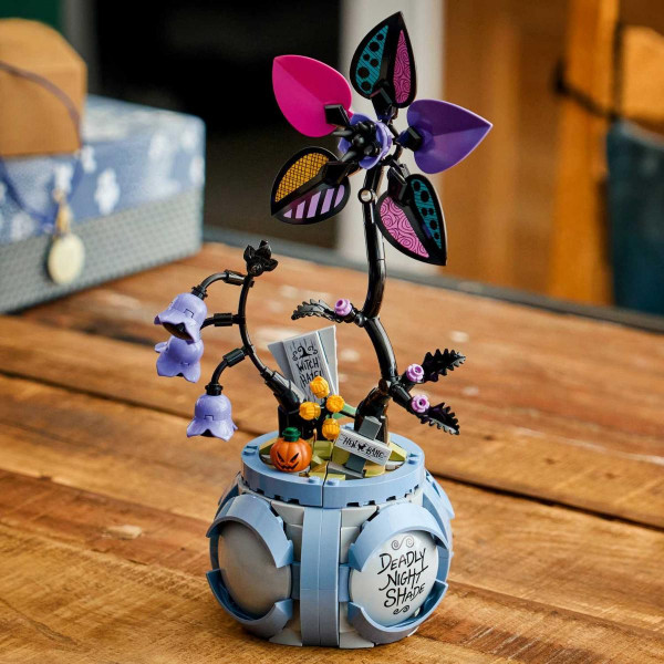 LEGO SALLYNA SAKSIJA ZA CVIJEĆE 9+ 