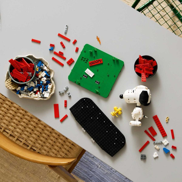 SNOOPYJEVA KUĆICA ZA PSE 