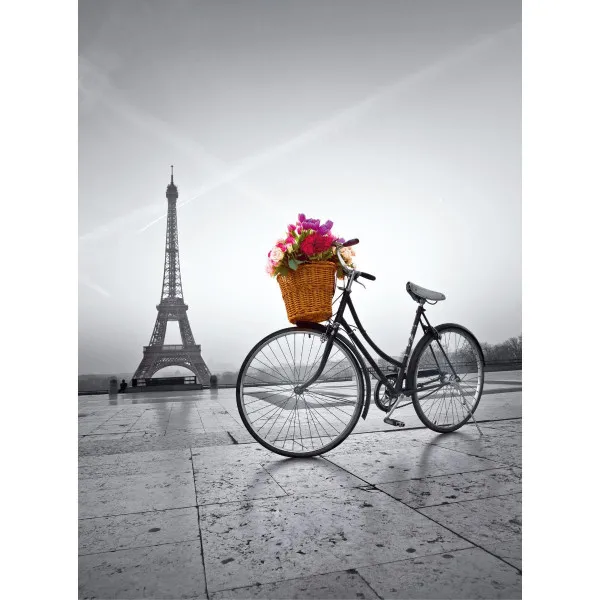 PUZZLE 500 PARIZ 35014 