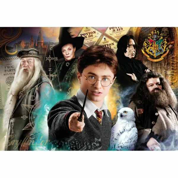 Puzzle 500 harry potter compact 35534 