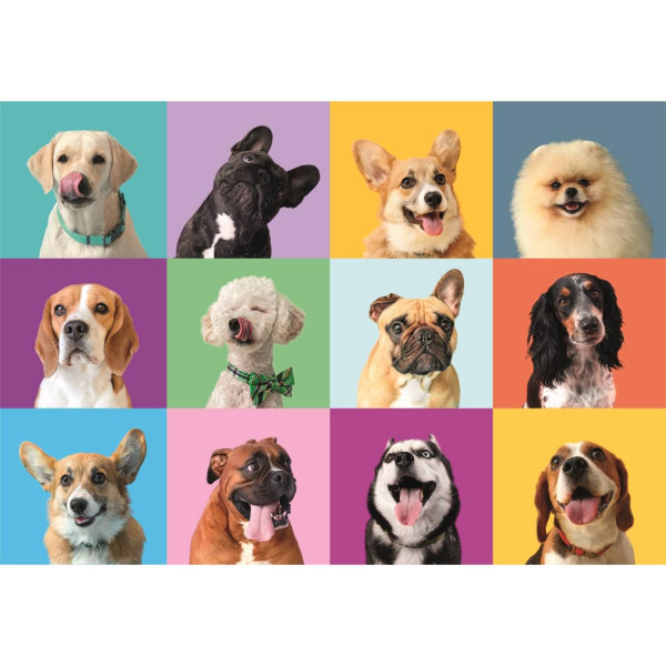 PUZZLE 300 FUNNY FACES 2025 21739 