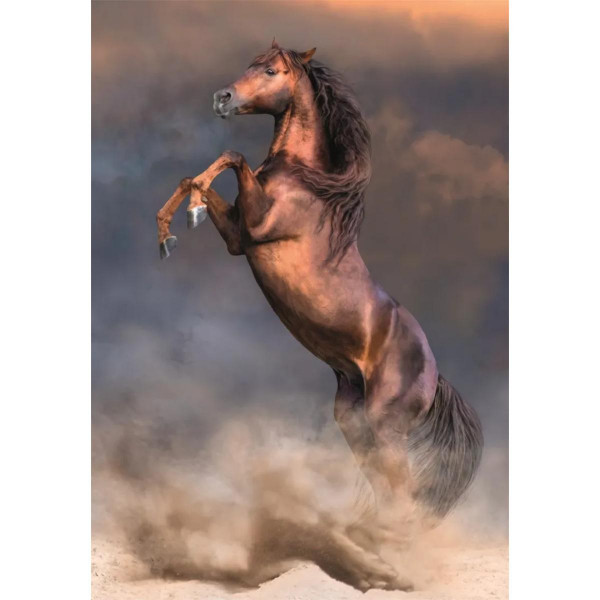 PUZZLE 500 HQC WILD RED STALLION COMPACT 