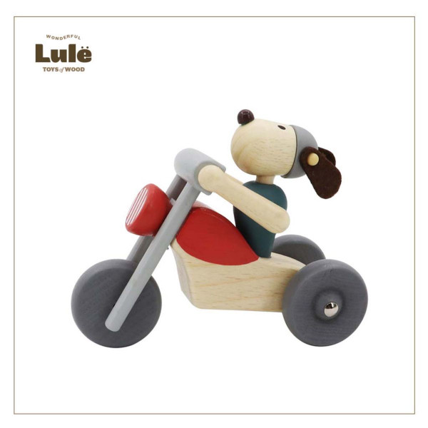 LULE DRVENI MOTOR 