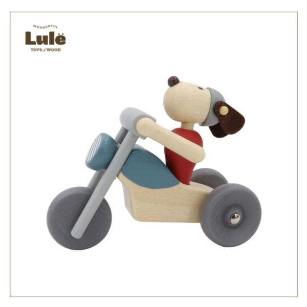 LULE DRVENI MOTOR 