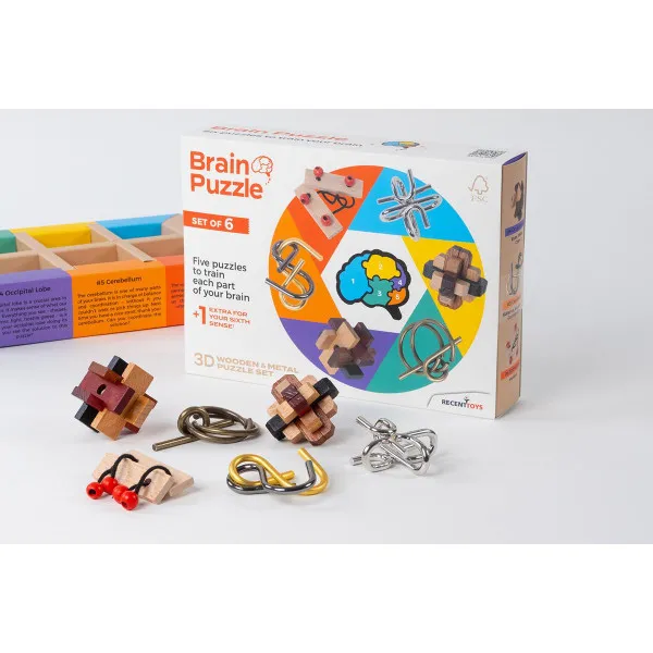 SLAGALICE BRAIN PUZZLE SET 6/1 