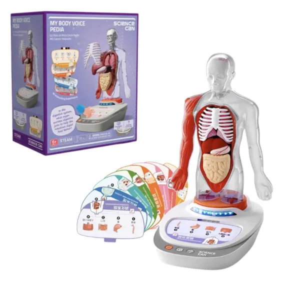 LJUDSKO TIJELO-GLASNOVI VODIČ KROZ ANATOMIJU SCIENCE CAN 