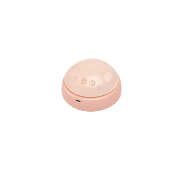 Hape moj prvi muzički prijatelj Rabbit H0114 
