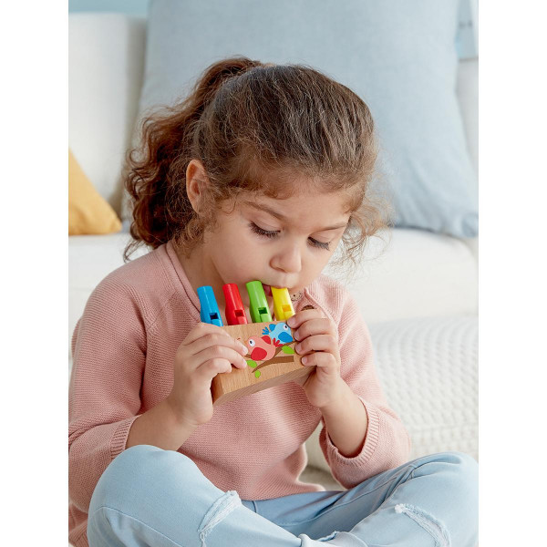 Hape pištaljke Rainbow H1025 