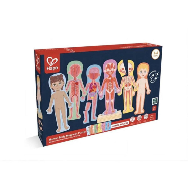 Hape magnetne puzzle ljudsko tijelo H1652 
