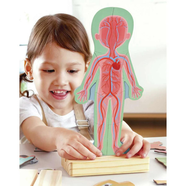 Hape magnetne puzzle ljudsko tijelo H1652 