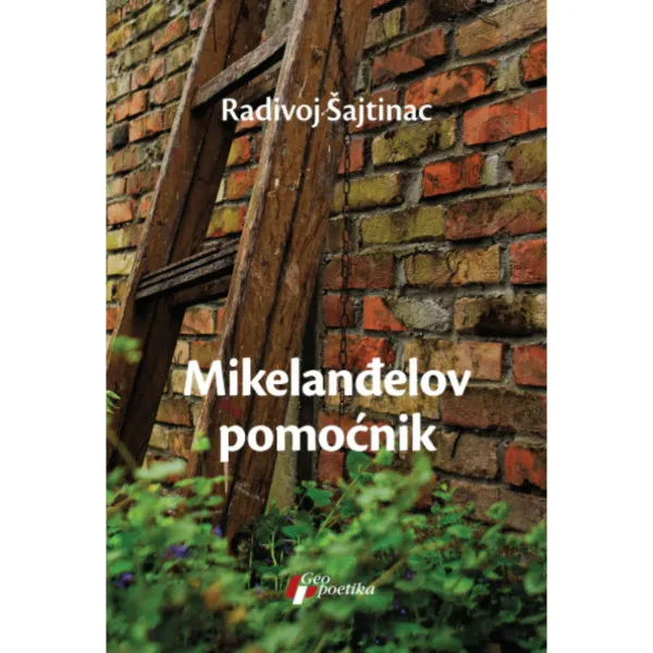 Mikelanđelov pomoćnik 