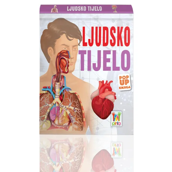 Pop up 3D - Ljudsko tijelo 