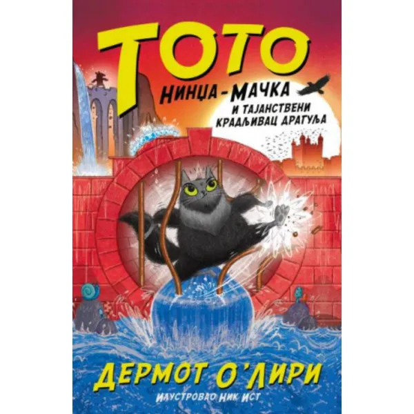 Toto nindža-mačka i tajanstveni kradljivac dragulja 