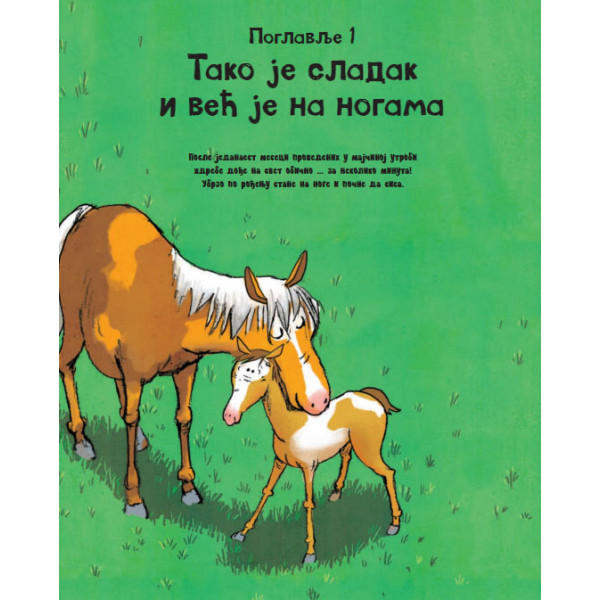 SVE O KONJU I JOŠ PONEŠTO 
