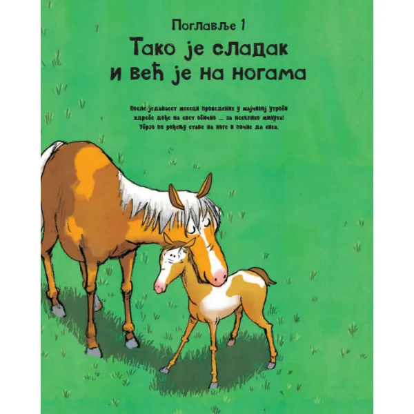 SVE O KONJU I JOŠ PONEŠTO 