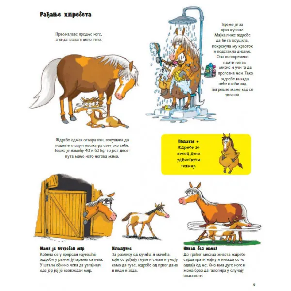 SVE O KONJU I JOŠ PONEŠTO 