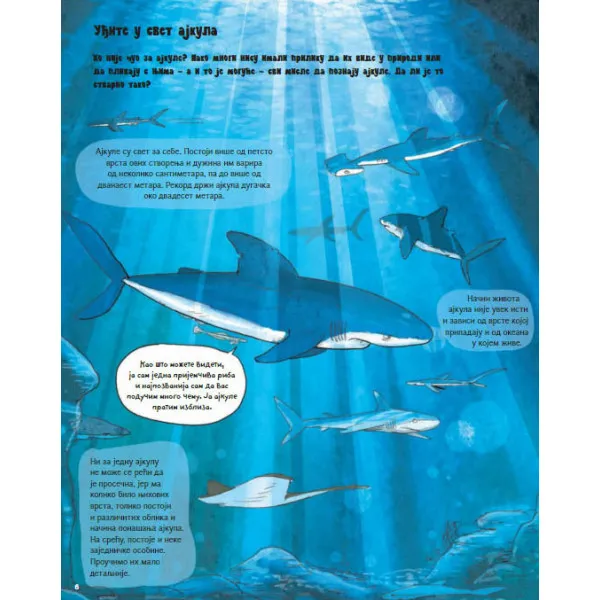 SVE O AJKULI I JOŠ PONEŠTO 