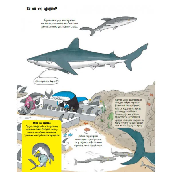 SVE O AJKULI I JOŠ PONEŠTO 