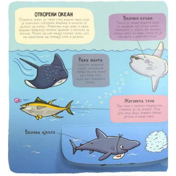 PODVODNI SVET MALI ISTRAŽIVAČI 