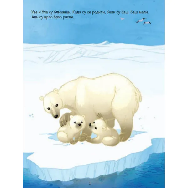 Uzbuna u kući belih medveda 