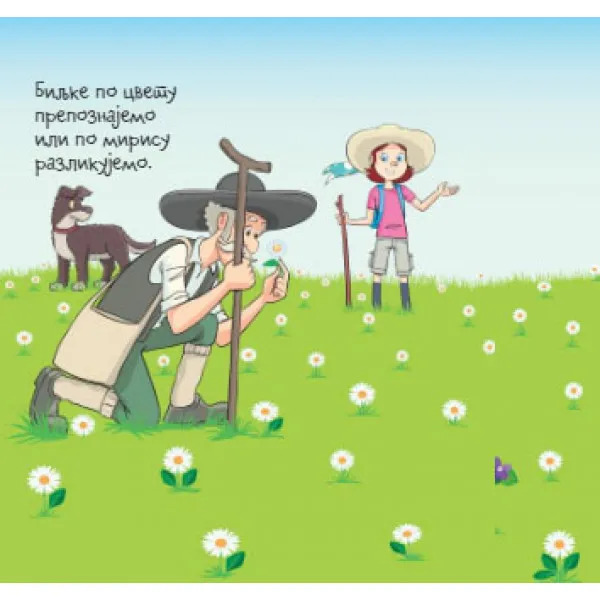 Ana i Filip istražuju…NA LIVADI 