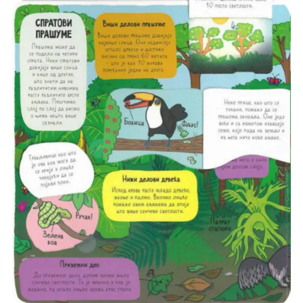 PRAŠUMA - mali istraživači 