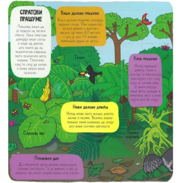 PRAŠUMA - mali istraživači 
