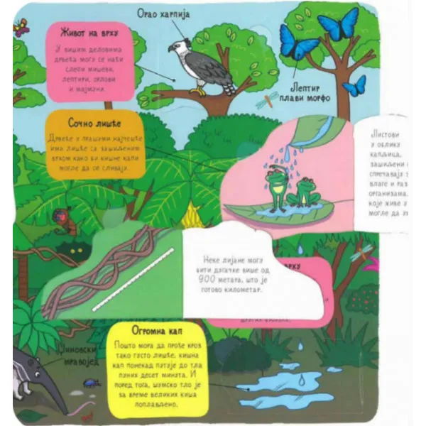 PRAŠUMA - mali istraživači 