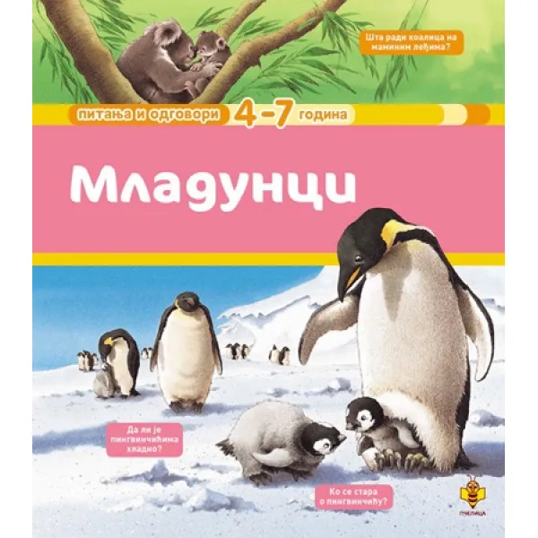 MLADUNCI PITANJA I ODGOVORI 